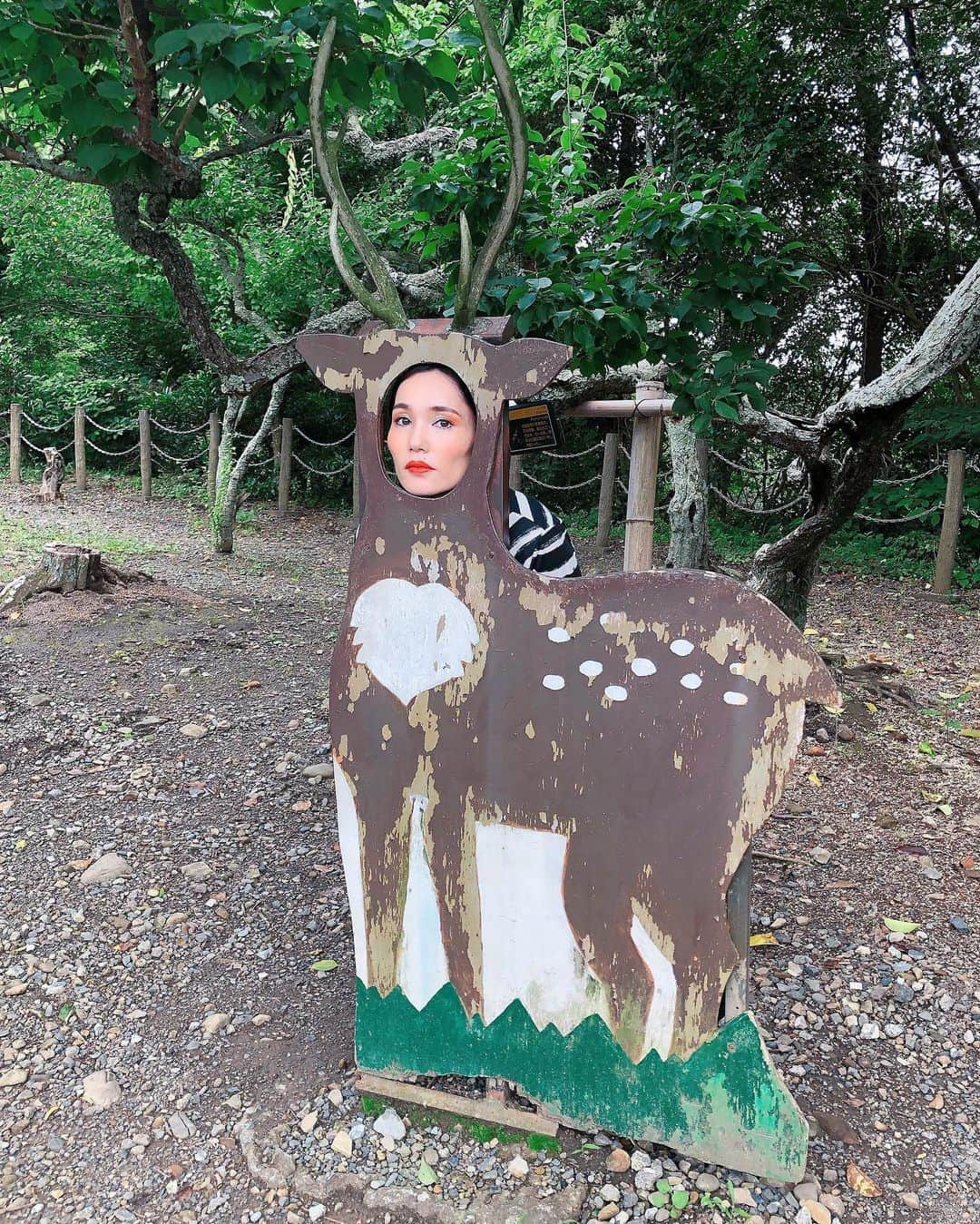 平野ノラさんのインスタグラム写真 - (平野ノラInstagram)「🦌🦌🦌💨 #平野ノラ」7月3日 22時38分 - noranoranora1988