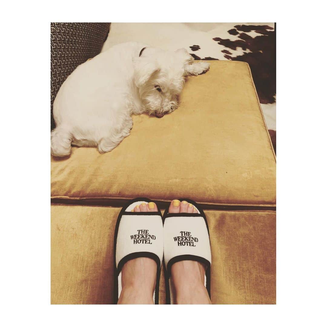 HiRAO INCのインスタグラム：「. 旅にでたい❤️ でもしばらくいけない ホテルにこもって仕事してる気分でも演出するかな  #theweekendhotel  #mutsulann」