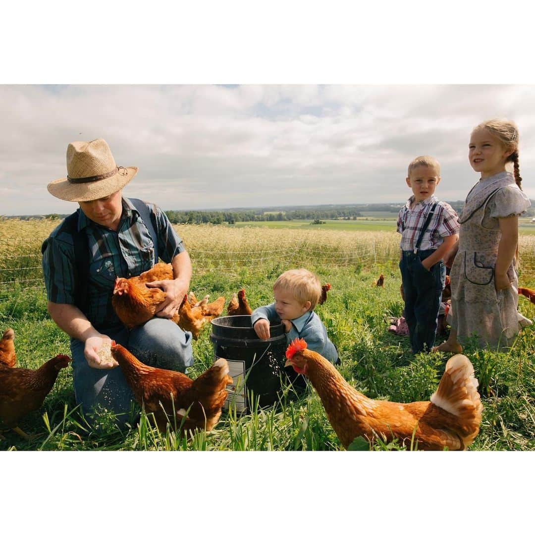 thephotosocietyさんのインスタグラム写真 - (thephotosocietyInstagram)「Photo by @MichaelGeorge // The Zimmerman's are a Mennonite family in upstate New York. They operate a massive pasture-raised egg operation. Here you can see the family gathered around a feed bucket as they supplement the hen's diet of grass and bugs. If you are an animal and health-conscious eater you should shop for eggs with the label "Pasture Raised." "Free Range" and "Cage Free" are sadly not all they're cracked up to be. "Cage Free" simply means the birds are not in a cage, but they can still be packed in like sardines and never see sunlight or any world outside their barn. "Free Range" means the door to the barn has to be open for some part of the day, but that could mean for just five minutes. It also doesn't mean the hens have access to forest or prairie or grass. "Pasture Raised," however, requires that hens have free access to the outdoors during the day (the whole day) and natural greens such as forest or grass. I've been working with @handsomebrookfarm to teach people how to recognize and buy the best eggs for themselves (and the birds!). // #pastureraised #healthyhens #handsomebrookfarm #eggs #egg #chickens #chickenegg #pastureraisedeggs #farmlife #mennonitefarm」7月3日 23時22分 - thephotosociety
