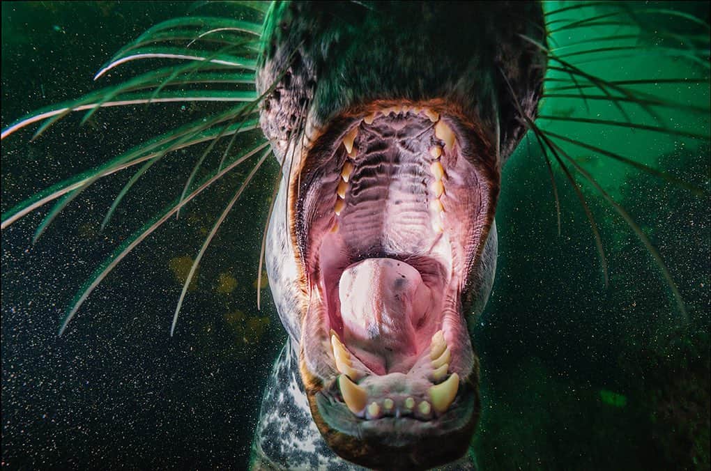 National Geographic Creativeのインスタグラム