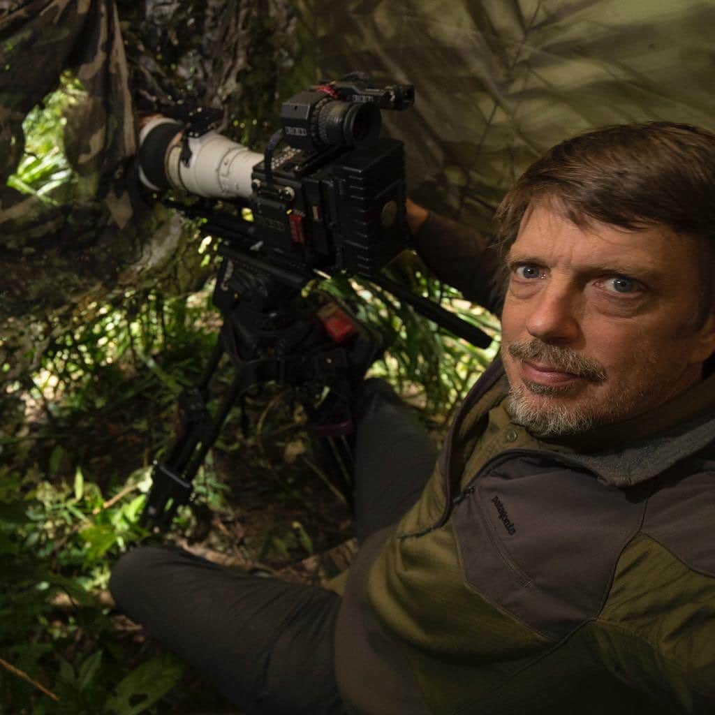 Tim Lamanさんのインスタグラム写真 - (Tim LamanInstagram)「Photos by @TimLaman. Greetings to all from the rain forest of West Papua, Indonesia where I’m once again working to document some of the incredible Birds-of-Paradise.  Today is the Last Day for my Thanks A Million IG print sale!  Birds-of-Paradise and other award winning images can be on display in your home for $100.  Visit link in profile.  This forest in the Arfak Mountains support 11 species of Birds-of-Paradise. Swipe for a few glimpses behind the scenes: 2) Inside my blind where I’ve been spending every day from about 5:30 AM till around 2:00 PM battling the mosquitos.  3) Blind from the outside - the birds never know I’m there.  4) Giant tree in this pristine forest and team members helping to haul gear. A lot of work goes into getting unique images of rare birds but it is worth it because I believe making people aware of the biological wonders of Papua can help bring the global attention needed to support the local leaders’ goal of a Conservation Province.  #WestPapua #Arfak #rainforest #Indonesia」7月4日 0時34分 - timlaman