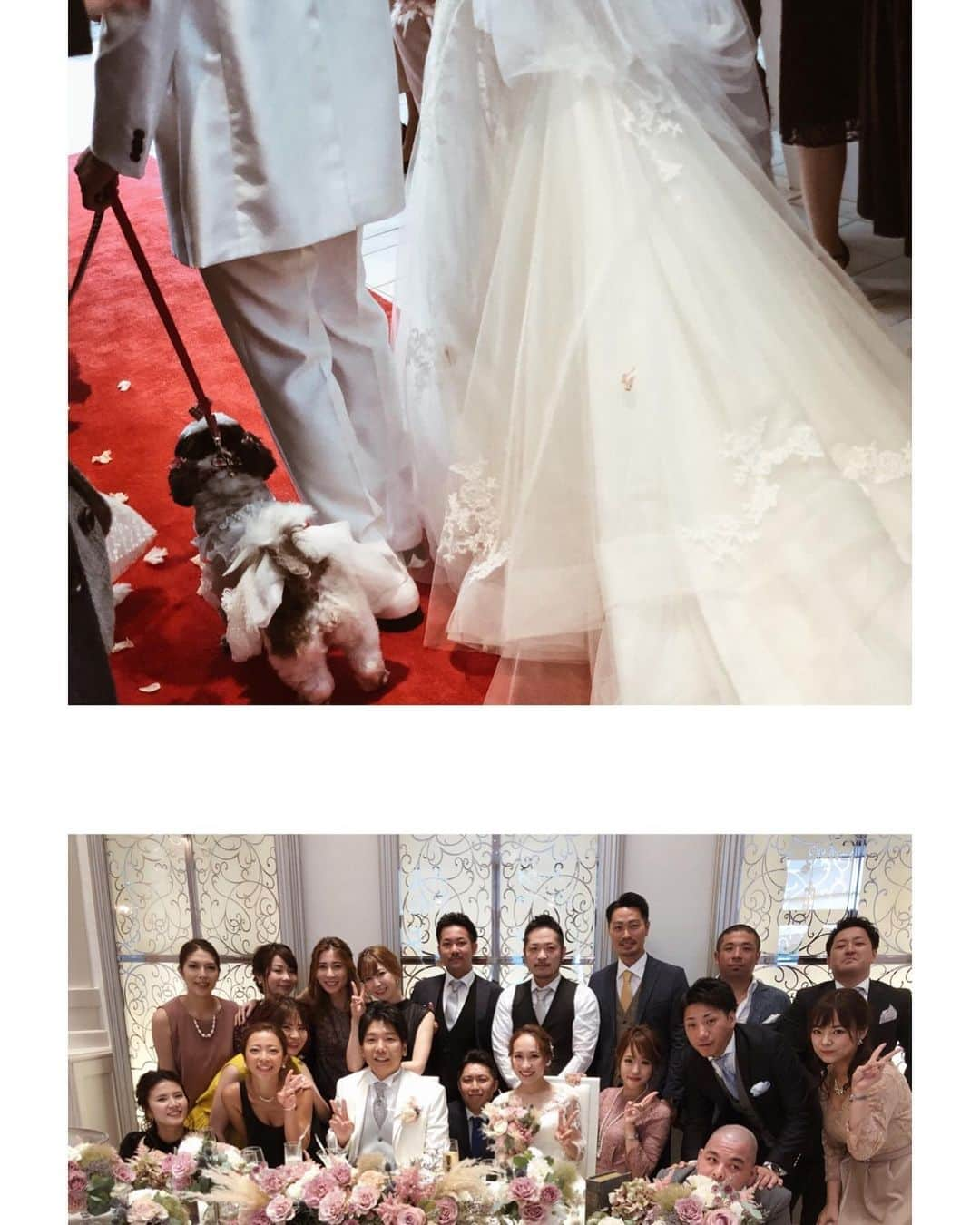 仲村美香さんのインスタグラム写真 - (仲村美香Instagram)「先日はふみとさっちゃんの結婚式に行ってきましたー👰❤️🤵 ・ ・ ふみと出会ったのは高校生の時で、 そのあと同じ大学に入って 同じサークルに入って そこからずっと一緒だった😂✨ 私の数少ない大切な男友達！笑 可愛くて優しい素敵な奥さんに出会えて、本当に幸せ者だ😭💕 さっちゃん、みんなから言われ過ぎてると思うけど、ふみをよろしくお願いします✨笑 ・ ・ ・ 久しぶりに会えた人もたくさんいて、 とっても楽しかったです💕 大学卒業して10年ぐらい経つのに お祝い事があるとこうやって集まれるの、素敵だなー♡♡♡ ・ ・ ・ #結婚式#披露宴#japan#Wedding #Weddingjewelry#weddingdress #ウェディングドレス#花嫁」7月4日 2時22分 - mikapu0519