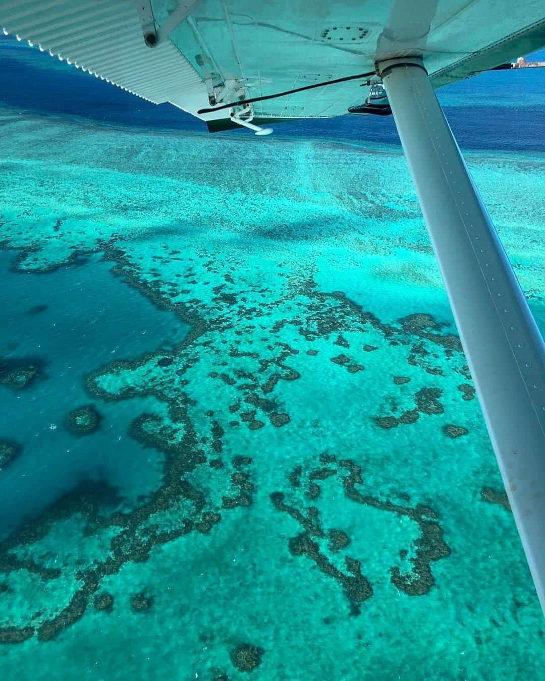 Australiaさんのインスタグラム写真 - (AustraliaInstagram)「Sure, you can see it from space, but we think a closer look would be nice too. 😉 @carolinecourteille enjoyed this stunning view of @queensland’s iconic #GreatBarrierReef on a scenic flight, which is one of the many ways she got to experience this natural wonder while staying at @hamiltonisland’s @qualiaresort. If you want to get an even closer look, the resort can organise sailing, diving and snorkelling trips for you in the @whitsundaysqld, so you can get into the turquoise water and have a close-up encounter with the colourful marine life living in the @gbrmarinepark.  #seeaustralia #thisisqueensland #lovethereef #thegreatoutdoors」7月4日 15時00分 - australia