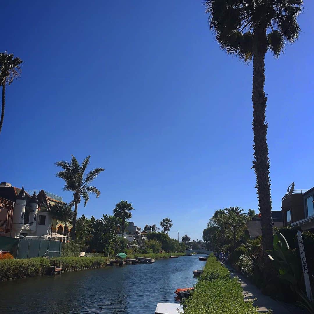 jun fitnessさんのインスタグラム写真 - (jun fitnessInstagram)「・ 【お気に入りの場所🌴】 #venicecanal 青い空とヤシの木と運河があるだけで、 こんなに幸せな気持ちになれるなんて☺️💓 ・ ベニスビーチからほど近い、 素敵な癒しスポットです💓 ・ ・ #diet#fitness#exercise#picoftheday#selfie#instadaily#LA#LosAngeles#America#Venice#venicecanals #ダイエット#ダイエッター#筋トレ#努力#フィットネス女子#モニター募集#ダイエット食#糖質オフ#ボディメイク#ロサンゼルス#カリフォルニア#アメリカ#ベニス#ベニス運河」7月4日 7時10分 - jjfitness44