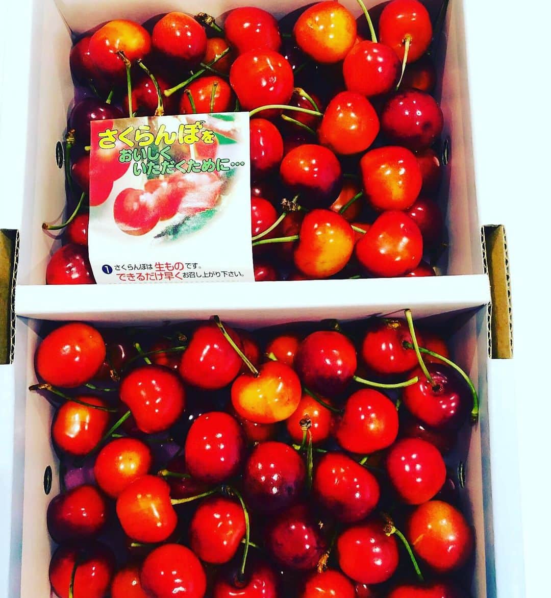 のインスタグラム：「さくらんぼっ🍒💕 . . 届きました届きましたっ😍 . 小関先生んところの農園から、 初めましての品種の #紅秀峰 べにしゅうほう  というさくらんぼちゃん🍒 . . 箱を開けた瞬間に甘ーい香り😋 一口かじると、超肉厚‼️ . 皮から種まで1センチはあるぞ❣️ 種まで遠いぞっっ‼️笑 . ジューシーだし、超絶甘いし、肉厚だし‼️ 三拍子揃った美味しいさくらんぼ🍒でした❤️ . 今回 #佐藤錦 は注文するの間に合わなかったし、G20で関西への配送が規制されてたらしいので 紅秀峰を注文したけど、 食べてよかった〜😘😘😘 . 季節のフルーツって本当に美味しい〜🍒 小関先生、林檎に引き続き美味しいさくらんぼありがとうございました😊 . 山形の自然の恵みに心から感謝ですっ🌈🍃 山形よ、ありがとう♡ . #山形 の #さくらんぼ #小関農園」