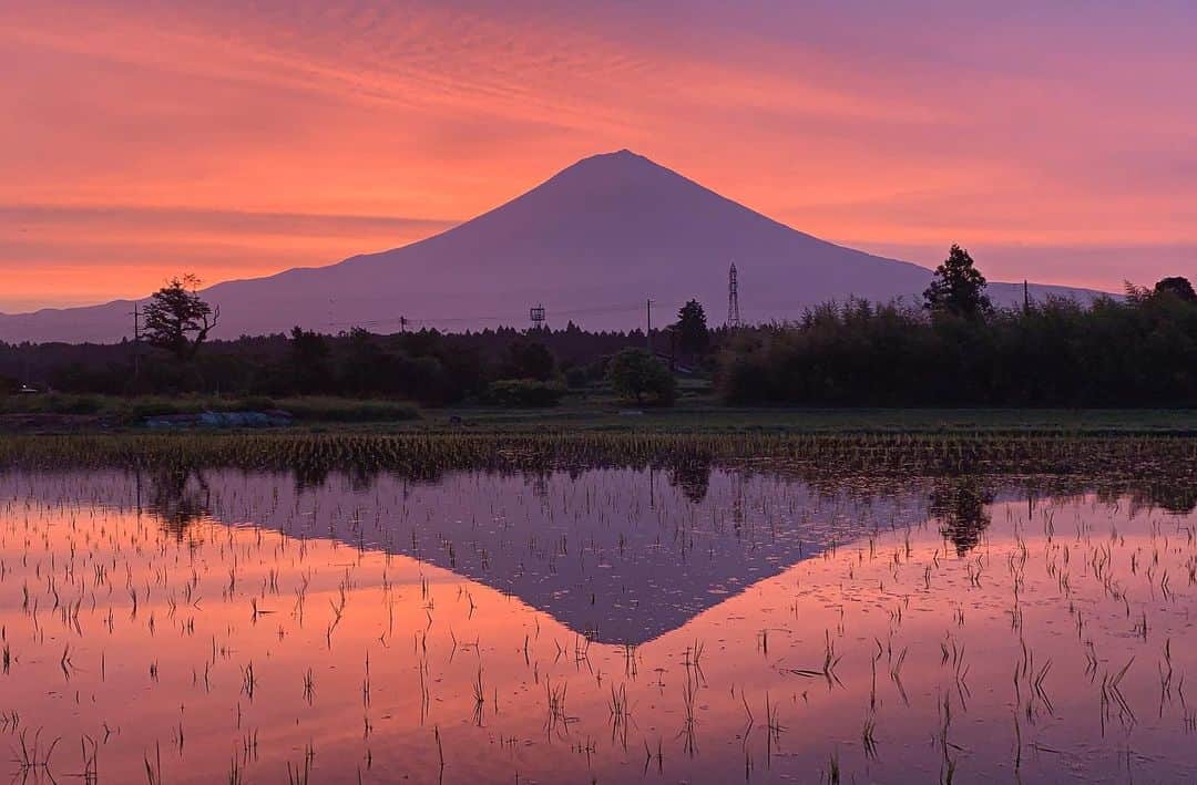 phantastic420のインスタグラム：「. 🤩🤩“Shizuoka” prefecture in Japan is a place where you can see the most “phantastic” Mt. Fuji🗻 in the world.🤩 #富士山 #mtfuji #japan #shizuoka #fujinomiya  #phantastic420photography #mostphantasticmtfuji #selamatpagi  #goodmorning  #おはようございます 😇😇😇😇😇😇😇🗻😇😇 猛烈な雨が降っております🤣 今年6月6日4時20分ストーリーズカメラのミラクルな朝です🤣 #日本一に会うフォトコン @fujisan_kkb #rwc2019_moment #rwc2019フォトコン #shizuoka  @make_the_moment」