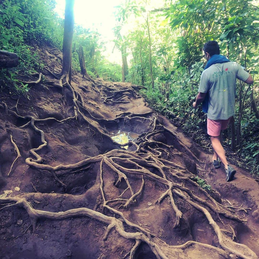 サマンサ・シザーリオさんのインスタグラム写真 - (サマンサ・シザーリオInstagram)「Queen’s Bath, Kauai • our quick pit stop on the way home from the beach turned into a two-hour, mildly treacherous hike... it was pretty stinkin cool though! 👌🏼 think I’ve definitely hit my adventure limit 🥵」7月4日 7時36分 - sammi.kramer