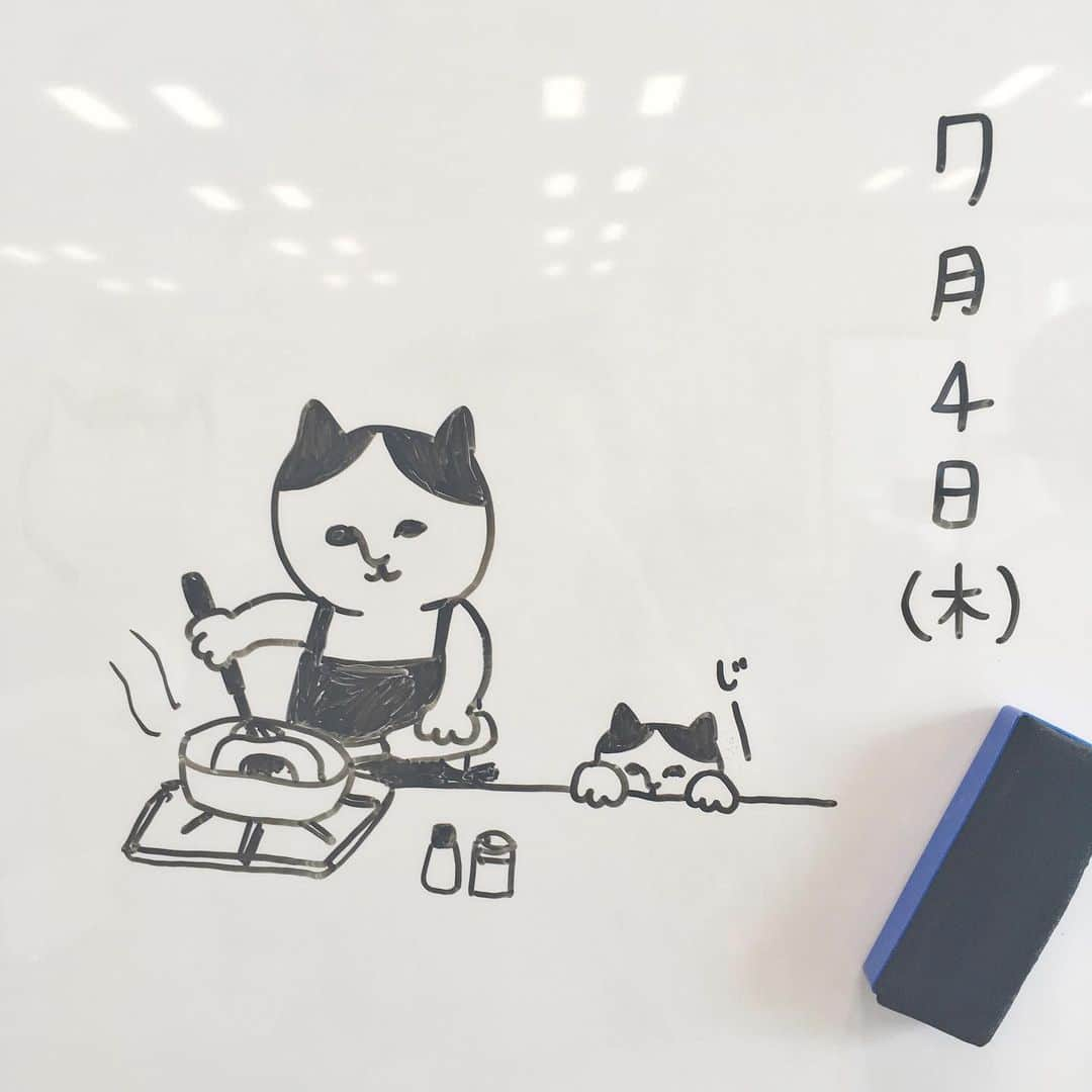 ねこさんのインスタグラム写真 - (ねこInstagram)「今日のねこ。朝ごはんを作るねこ。と、それを待ってるねこ。 #neko_magazine #ねこ #猫 #ネコ #catstagram #cat #ねこマガジン #NEKONOBA」7月4日 9時16分 - neko_magazine