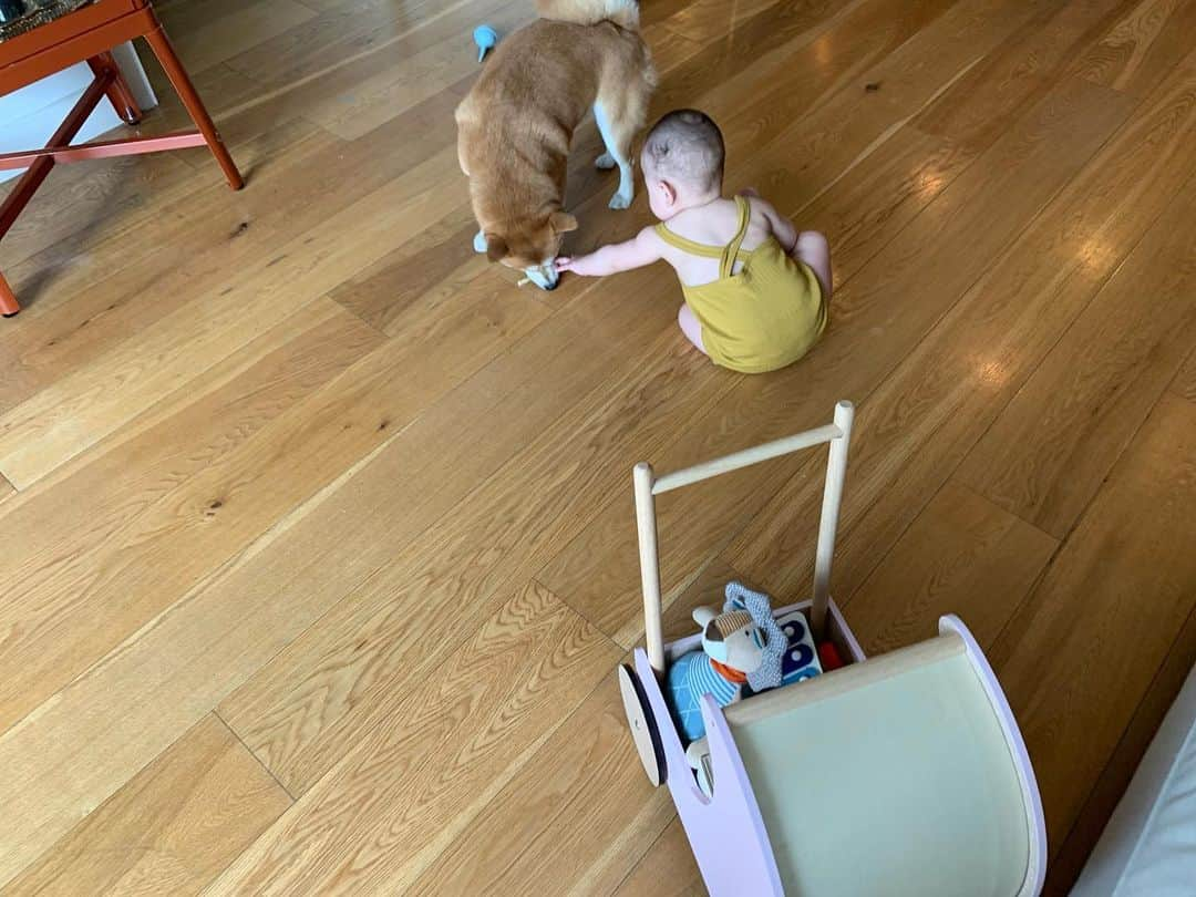 大塚良子さんのインスタグラム写真 - (大塚良子Instagram)「They make me happy everyday! #newyork #baby #10monthsold  #summer  #playsuits @finandvince  #turban @shopblutaylor」7月4日 9時22分 - ryokokonami