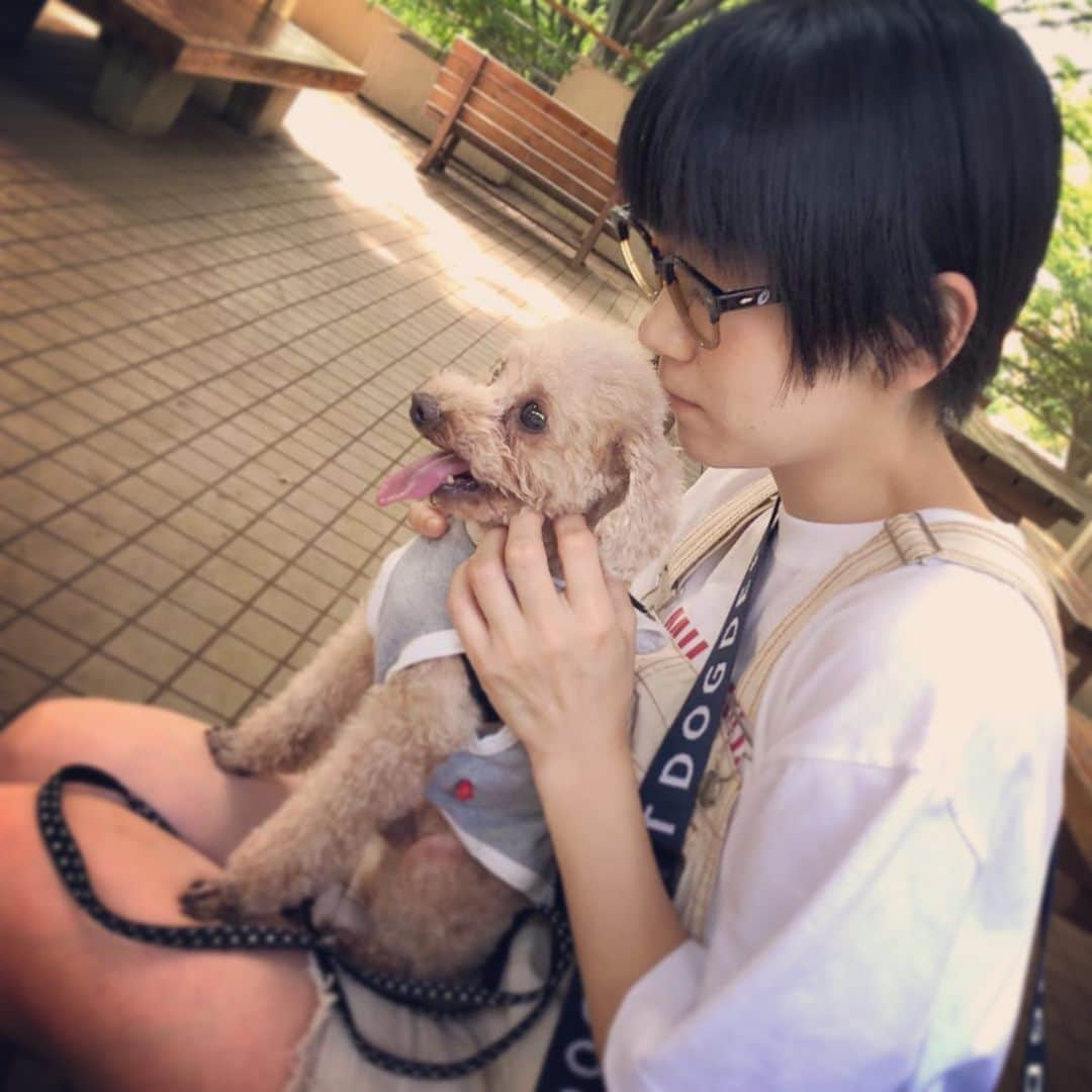 時東ぁみさんのインスタグラム写真 - (時東ぁみInstagram)「愛犬と撮影🐶 ・ 他の犬に反応するのはわかるんだけど、イチャイチャしてるカップルにも反応する…やめてくれw ・ ペットコラムの掲載日は 7月8日、22日、29日です！見てね🐶 ・ #時東ぁみ #読売新聞 #夕刊 #コラム #ペットコラム #ペットらいふ #愛犬 #犬 #dog #トイプードル #toypoodle #代々木公園 #yoyogipark #衣装 #milkfed #ミルクフェド #skechers #スケッチャーズ #bershka #ベルシュカ #いぬすたぐらむ #犬バカ部 #🐶」7月4日 9時33分 - amitokito