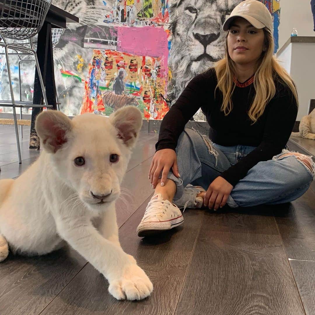 Black Jaguar-White Tiger さんのインスタグラム写真 - (Black Jaguar-White Tiger Instagram)「Our Lovely Volunteer From New York spending some time today with Christmas and her siblings. You can come and visit us, all the info is on our website... www.BlackJaguarWhiteTiger.org」7月4日 9時35分 - blackjaguarwhitetiger
