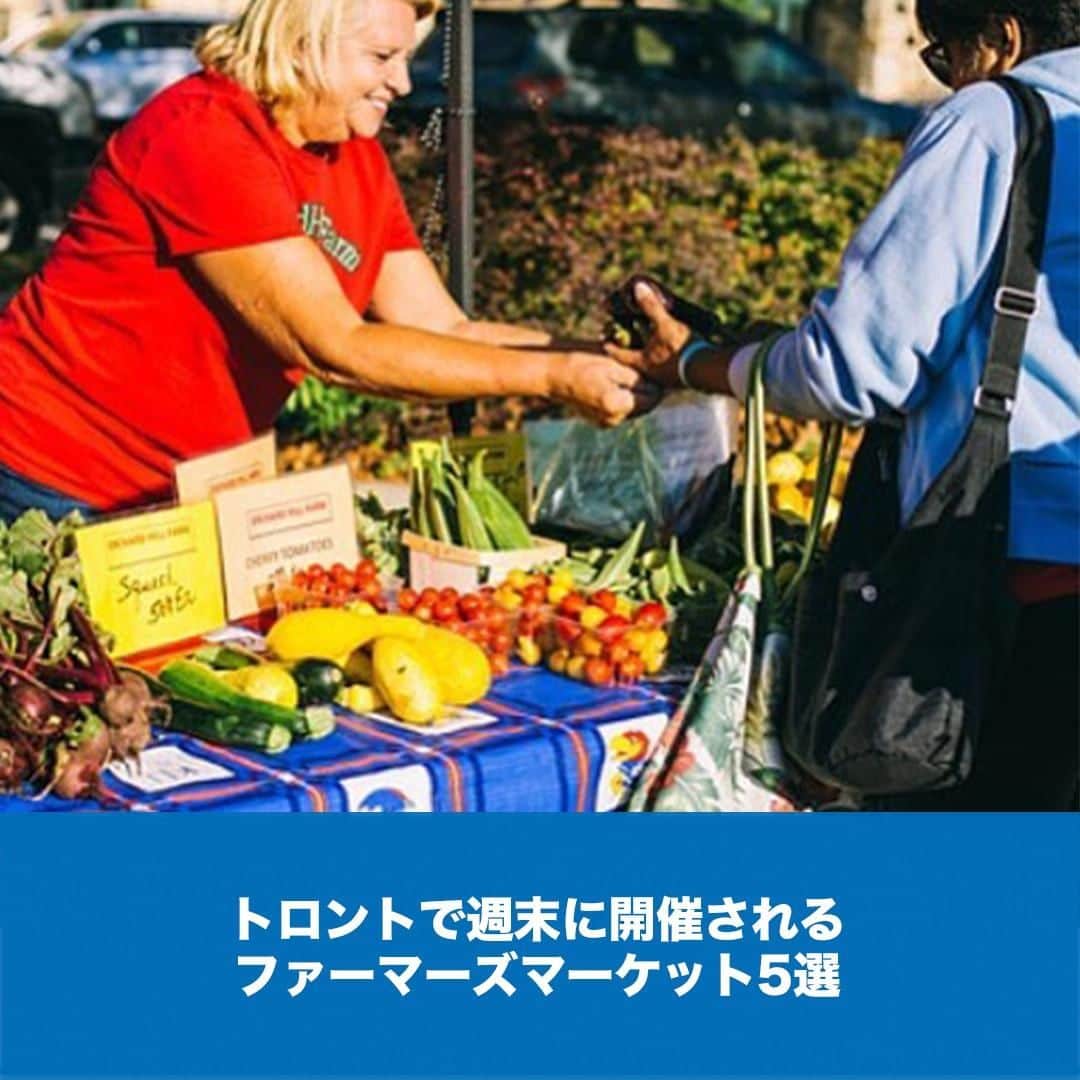 LifeTorontoさんのインスタグラム写真 - (LifeTorontoInstagram)「トロントで暮らしている野菜・果物好きの方！⁠ 今の季節、新鮮な野菜や果物を求めて、ファーマーズマーケットに行くのもいいですよね！⁠ トロントで週末に開催されている5カ所のファーマーズマーケットを記事で紹介しています。@lifetoronto.jp のプロフィールに記載👆🏼URLのリンク先からチェックすると記事へ飛びます。﻿⁠📷:@lawrencefarmersmarket⁠ ﻿⁣.⁣⁣⠀﻿⁠ .⁣⠀⁣⠀﻿⁠ .⁣⠀⁣⠀﻿⁠ #ファーマーズマーケット #野菜 #海外 #カナダ #トロント #トロントライフ #トロント生活 #トロント在住 #カナダ生活 #カナダ在住 #カナダライフ #海外生活 #海外暮らし #海外移住 #英語 #留学 #海外留学 #トロント留学 #カナダ留学 #ワーホリ#ワーキングホリデー #カナダワーホリ #トロントワーホリ #ワーホリトロント #ワーホリ生活 #海外就職 #駐在生活 #駐在 #カナダ好きな人と繋がりたい ⁣⠀⁠」7月4日 10時00分 - lifetoronto.jp
