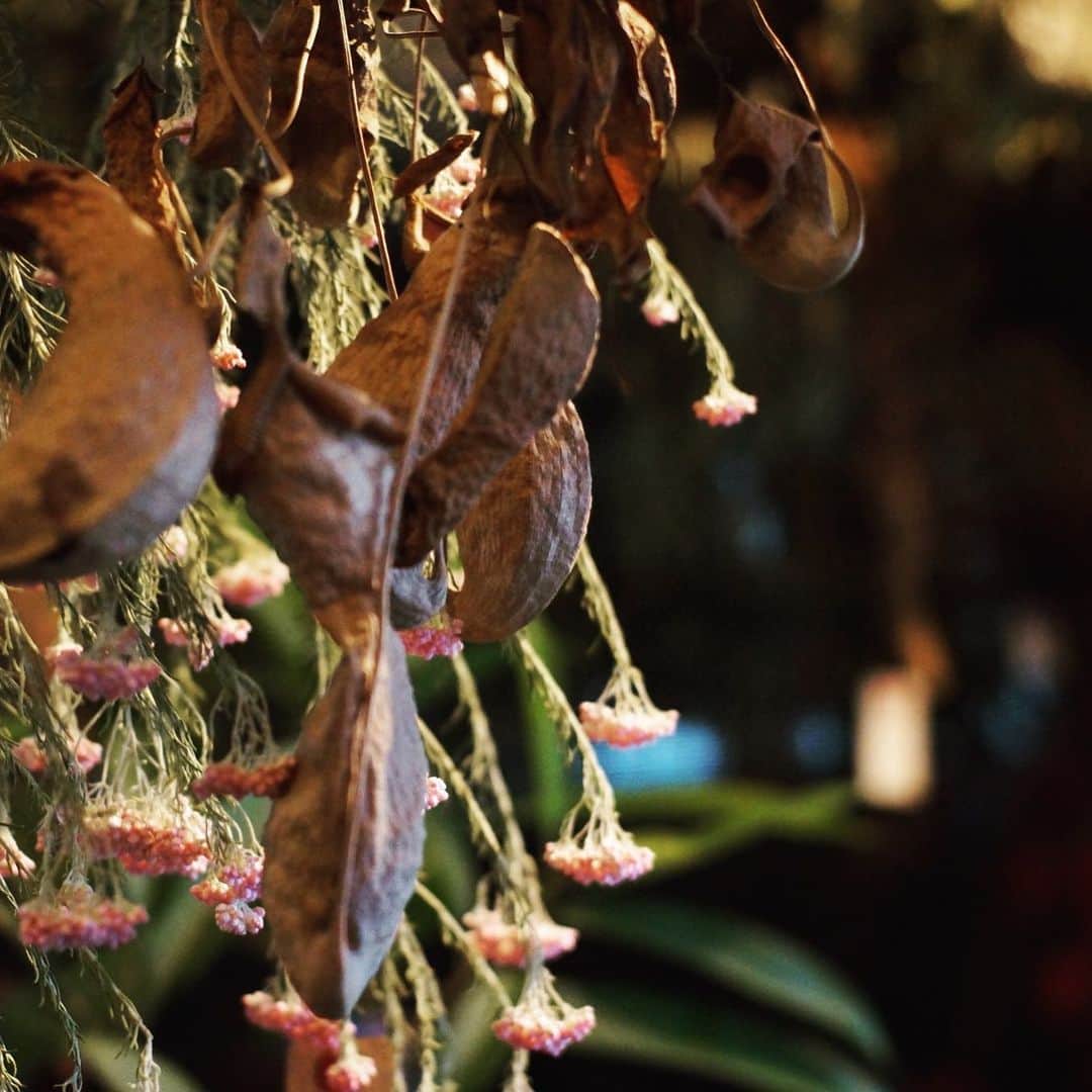 MILLE ECLAT.のグルメインスタ