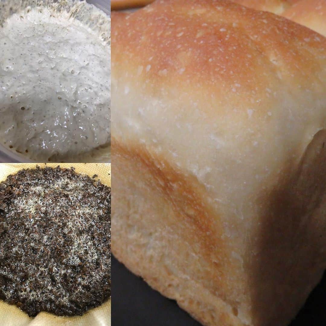 魔女菅原のグルメインスタ