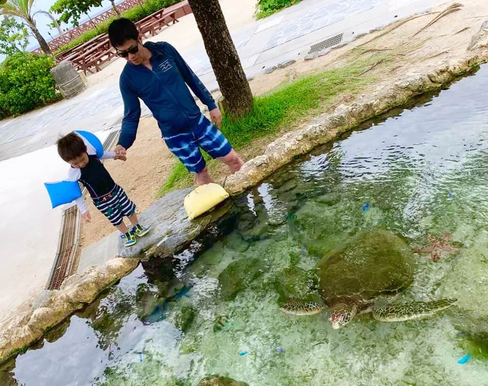 桜井未来さんのインスタグラム写真 - (桜井未来Instagram)「手を伸ばせば、届きそうなところに亀さんが🐢💓（笑）  これ、プール横です😂💓 ・ ・ ・  #亀 #海 #sea #summer #プール #pool #南国 #沖縄 #okinawa #ママ #baby #ママ友募集 #赤ちゃんのいる生活 #ママサークル #ママイベント #ママ会 #都内ママ #ベビスタグラム #mamagirl #ベビフル #コドモダカラ #コドモノ #ママリ #親バカ部 #新米ママ東京部」7月4日 11時10分 - miki.sakurai0214