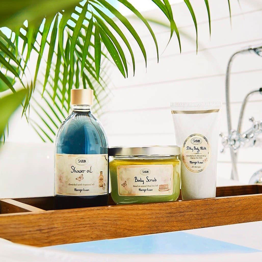 SABON Japanさんのインスタグラム写真 - (SABON JapanInstagram)「この夏を鮮かに彩る"Mango Kiwi Collection"。﻿ 本日、7月4日(木)より全国の直営店・公式オンラインストアにて登場します。﻿﻿ ﻿﻿ 夏の素肌を魅力的に磨き上げる人気のボディスクラブをはじめ、滑らかな洗い心地のシャワーオイル、紫外線など日常的に受ける肌ダメージを補修し、柔らかな肌に導くシルキーボディミルクがラインナップ。﻿ ﻿ 甘く爽やかな香りに包まれるアイテムが、日常のバスタイムをバカンス気分に彩ります。﻿ ﻿ ＜Special Present! ＞﻿﻿﻿ ボディスクラブ マンゴー・キウイを含む、7,000円(税込)以上お買い物いただいた方に、「シャワーオイル ジンジャー・オレンジ 50mL」をプレゼント！﻿ ※オンラインストアでのお買い物は対象外ですのでご了承ください。﻿﻿ ※数量限定ですので、なくなり次第終了いたします。﻿﻿ ﻿ ﻿ #sabon#数量限定#mangokiwicollection#limited#mangokiwi#mango#kiwi#bathtime#beauty#cosme#bodycare#サボン#マンゴーキウイコレクション#マンゴーキウイ#マンゴー#キウイ#香り#美容#シャワーオイル#ボディスクラブ#シルキーボディミルク#夏#夏コスメ#保湿#ダメージケア#コスメ#ボディケア#バスタイム」7月4日 12時06分 - sabon_japan