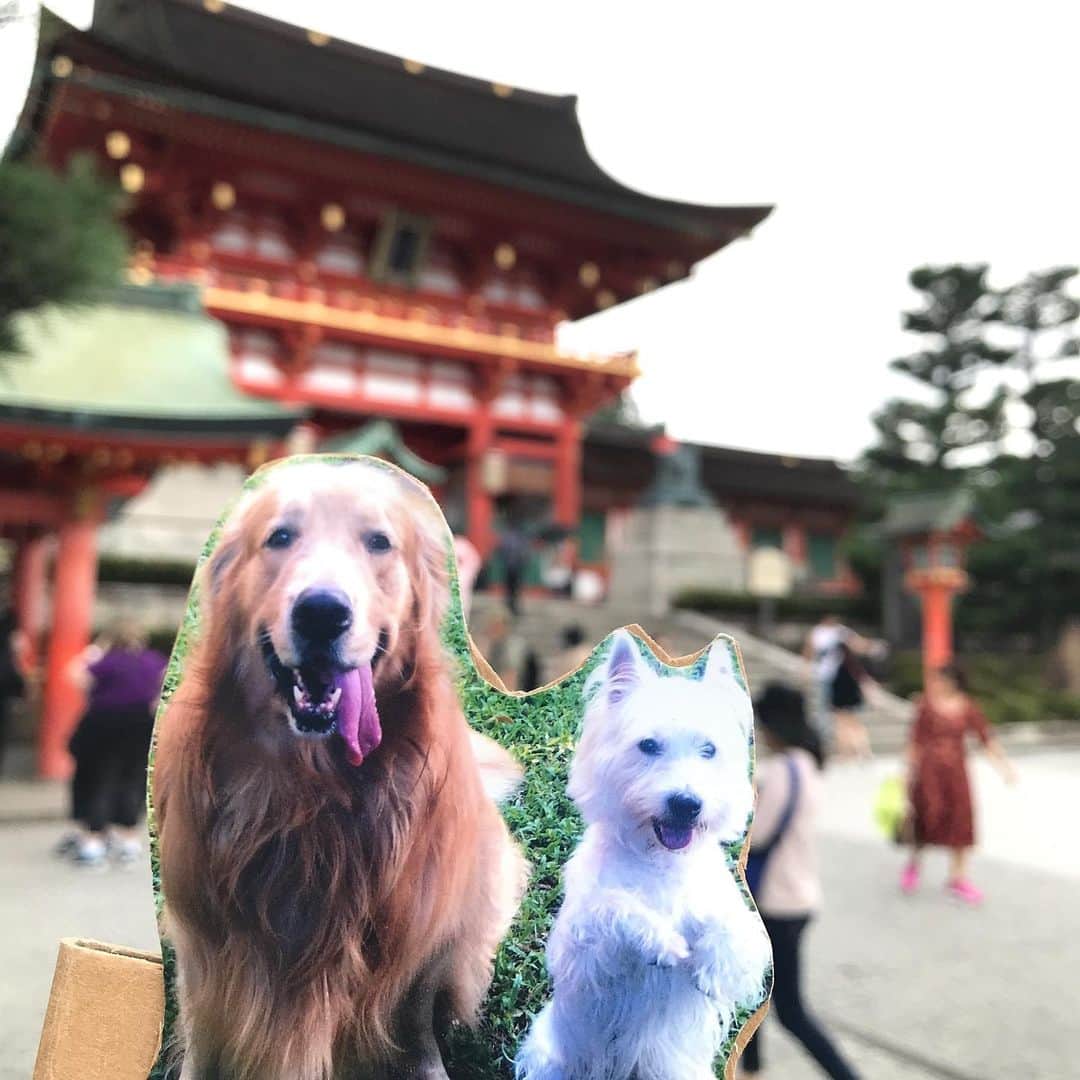 Hoykong&Plamuekのインスタグラム：「We are in Kyoto 😊」