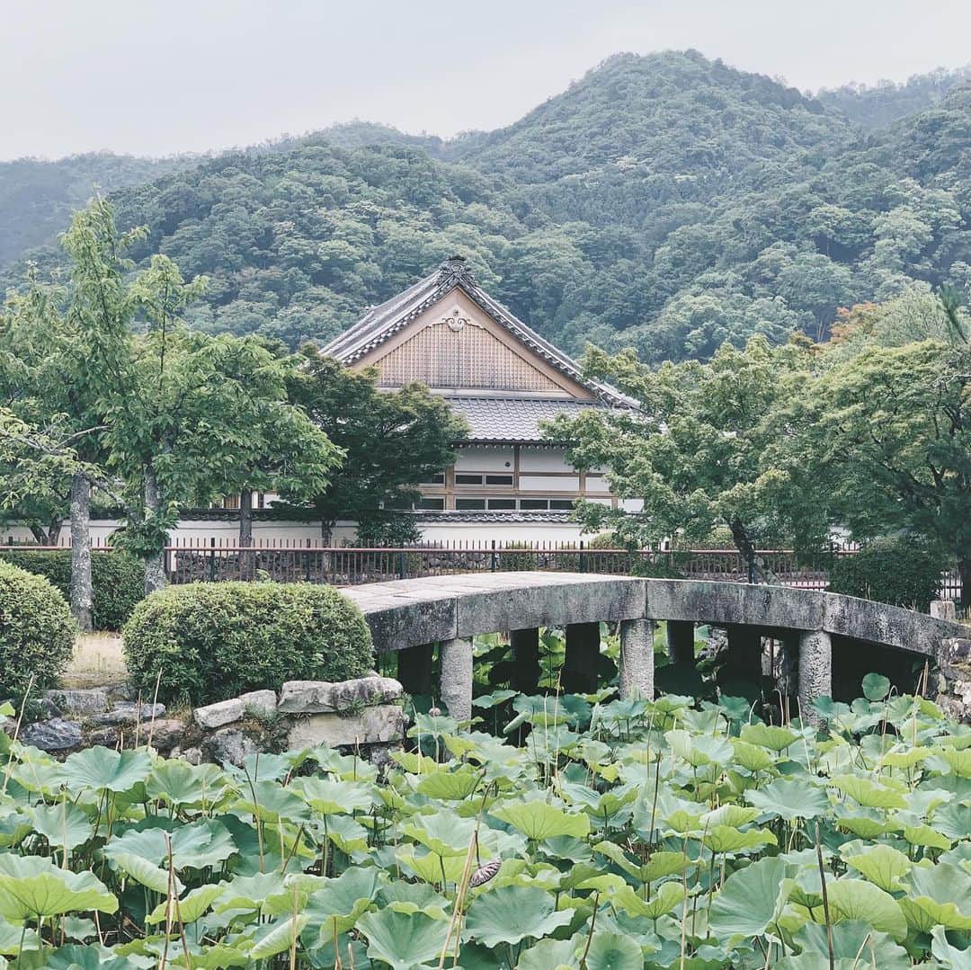 Daniel Waldronのインスタグラム：「Take Two (one of my favorite scenes in Kyoto)」
