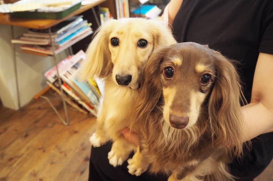 maruku. café のグルメインスタ