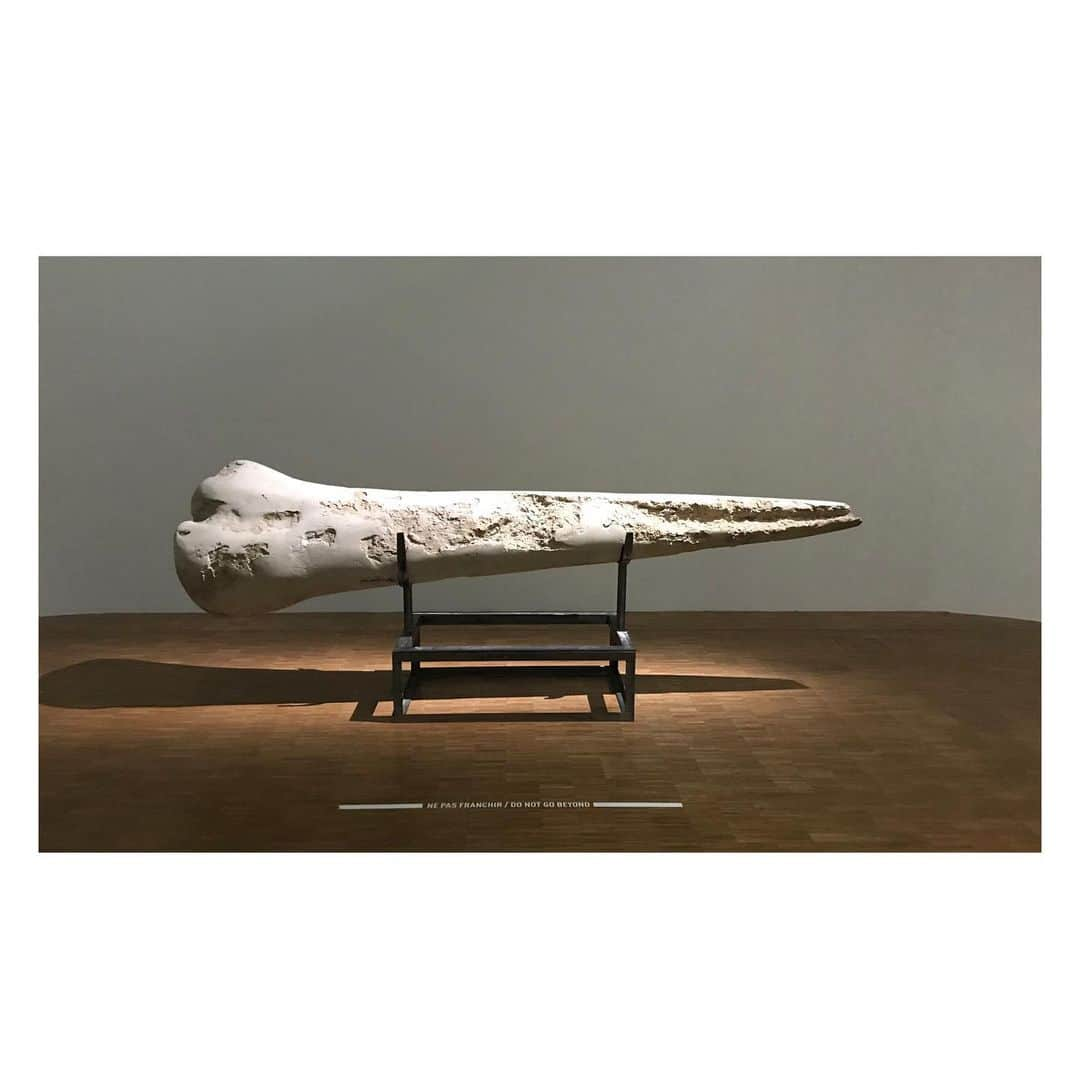 ユリウスさんのインスタグラム写真 - (ユリウスInstagram)「Awl n.4 1988-1989 #michaelheizer」7月4日 13時08分 - _julius7official