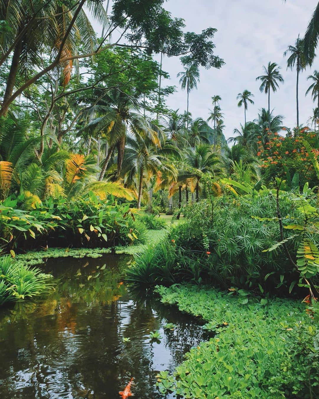 Amata Chittaseneeさんのインスタグラム写真 - (Amata ChittaseneeInstagram)「Living in greens 🙋🏻‍♀️ @rayavadee_krabi 🌳🍄🐛 #krabi #Thailand #pearypieamazingthailand」7月4日 13時22分 - pearypie