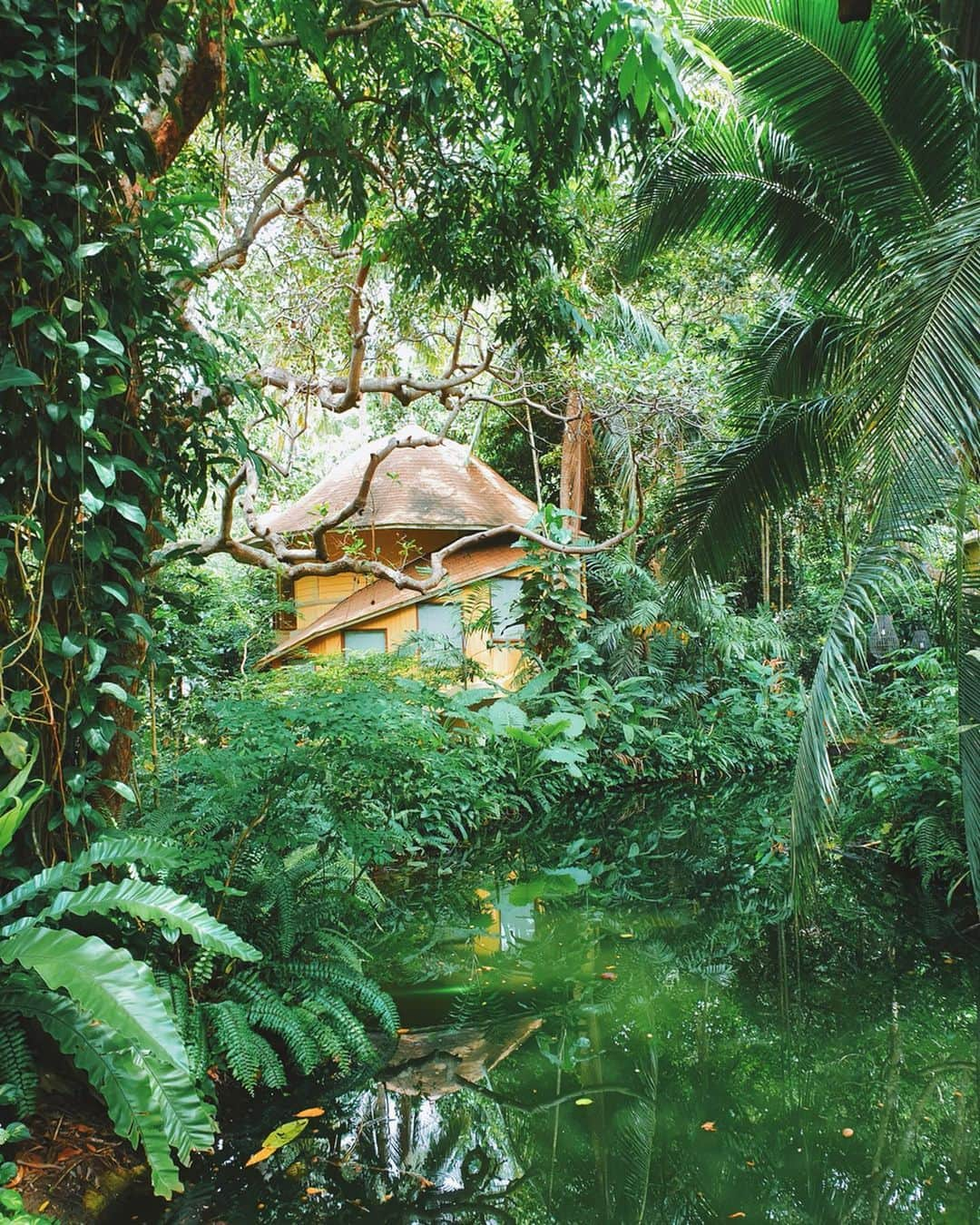 Amata Chittaseneeさんのインスタグラム写真 - (Amata ChittaseneeInstagram)「Living in greens 🙋🏻‍♀️ @rayavadee_krabi 🌳🍄🐛 #krabi #Thailand #pearypieamazingthailand」7月4日 13時22分 - pearypie