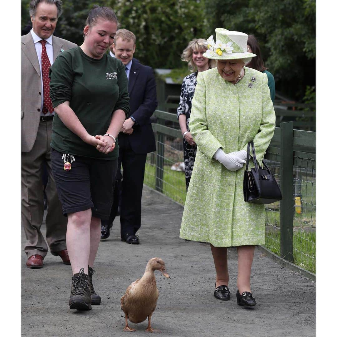 ロイヤル・ファミリーさんのインスタグラム写真 - (ロイヤル・ファミリーInstagram)「Today, The Queen visited @gorgiecityfarm where Her Majesty met resident duck, ‘Olive’, and spoke to staff and volunteers about their work.  The farm brings the countryside to inner city Edinburgh and is home to different animals including pigs, sheep and goats, and grows a range of fruit and vegetables. It also serves as an educational resource for visitors and promotes community development through its volunteer scheme.  Thank you for following #HolyroodWeek2019! 📷 1 - @pa」7月4日 22時50分 - theroyalfamily