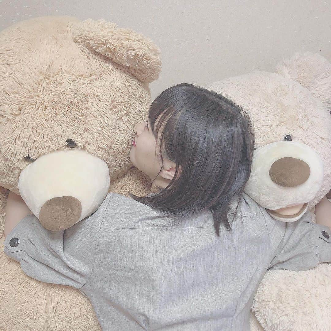 山根涼羽さんのインスタグラム写真 - (山根涼羽Instagram)「・ ・ 実家にいる最強に可愛いもの 🐻 左が 定食くん 右が くしゃみちゃん って名前です 🐻 お誕生日にもらった宝物💎 ・ #コストコ #コストコくま #コストコのくま  #くま #ぬいぐるみ #2匹と #寝ると #息できん」7月4日 23時33分 - suzuha48yamane16