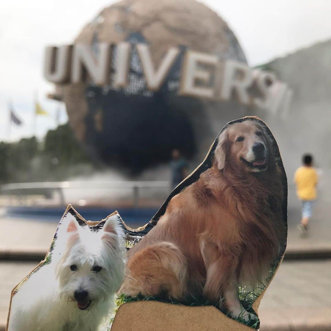Hoykong&Plamuekのインスタグラム：「We wanna see Harry Potters 😁」