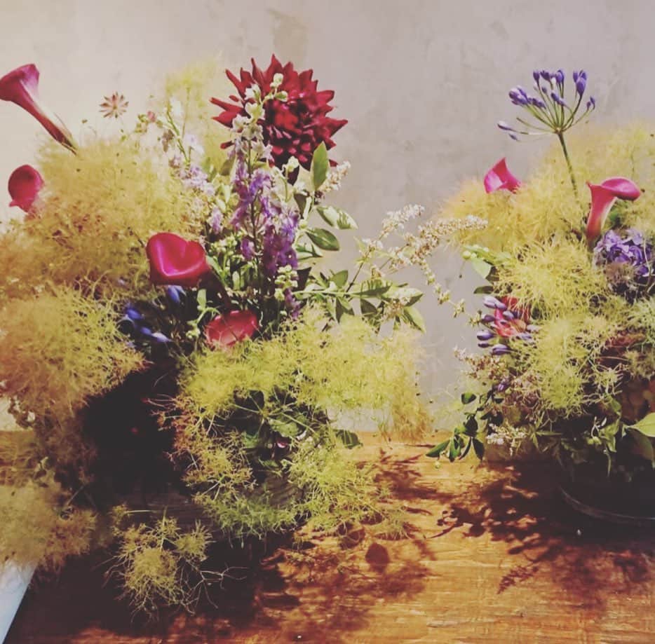 森口瑤子さんのインスタグラム写真 - (森口瑤子Instagram)「. . 奴の好きな花達 . . #あの人のおかげで #花が好きになったあたし . #次はいつ会えるかな」7月4日 16時05分 - yokomoriguchi_official