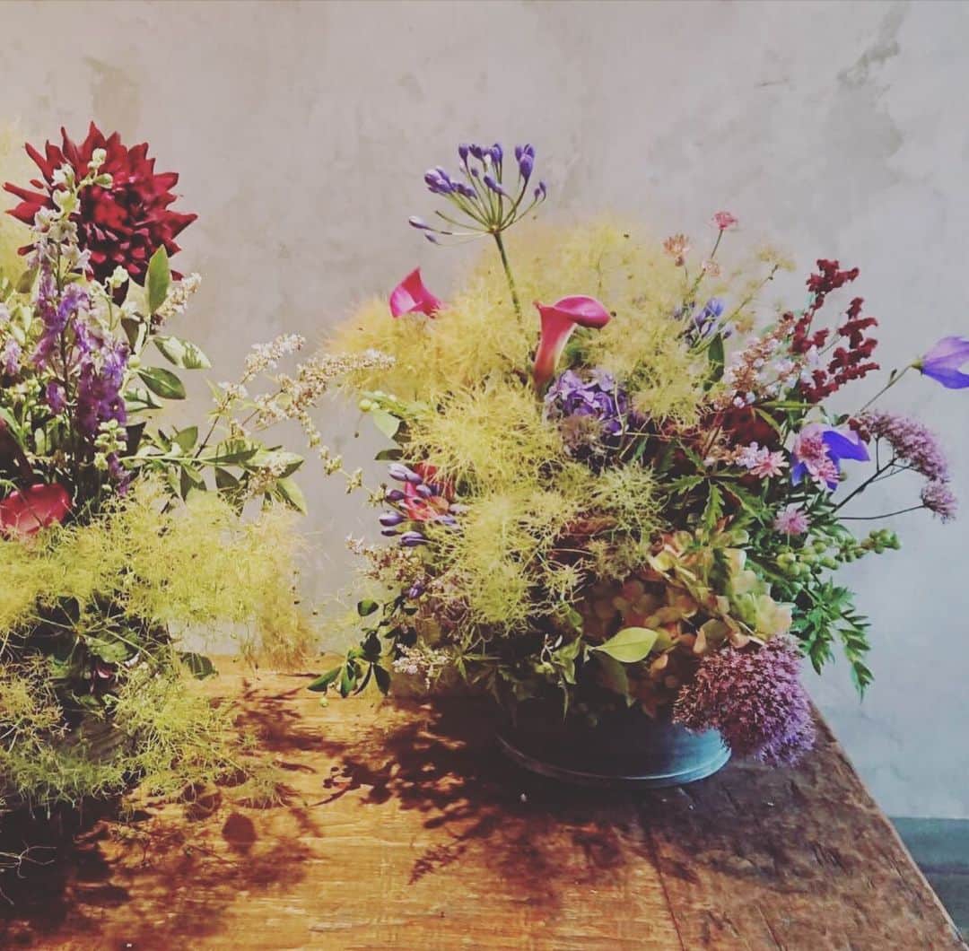 森口瑤子さんのインスタグラム写真 - (森口瑤子Instagram)「. . 奴の好きな花達 . . #あの人のおかげで #花が好きになったあたし . #次はいつ会えるかな」7月4日 16時05分 - yokomoriguchi_official