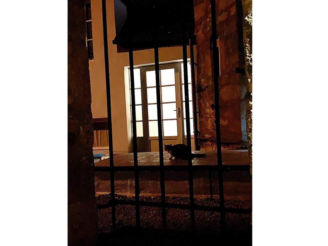 百合華さんのインスタグラム写真 - (百合華Instagram)「ホテルのお部屋に戻ってまったりしながら暗くなるのを待つ事にしたけど、夜中の０時半でもモンサンミッシェルはまだほんのりオレンジ色のお空でしたww  この季節のフランスは本当に夜が短いですね😳  ライトアップされたモンサンミッシェルはお昼とはまた違ってまさに神秘的な美しい景観でした✨✨✨ 島内に住んでる猫ちゃん達が楽しそうに追いかけっこしてる🎶  #フランス  #france  #モンサンミッシェル  #montsaintmichel  #世界遺産  #世界遺産の旅  #worldheritage  #キリスト教  #修道院  #散策  #トラベラー  #女子旅  #夜景 #ライトアップ #美しい景観 #神秘的」7月4日 16時28分 - yurika.lovelily