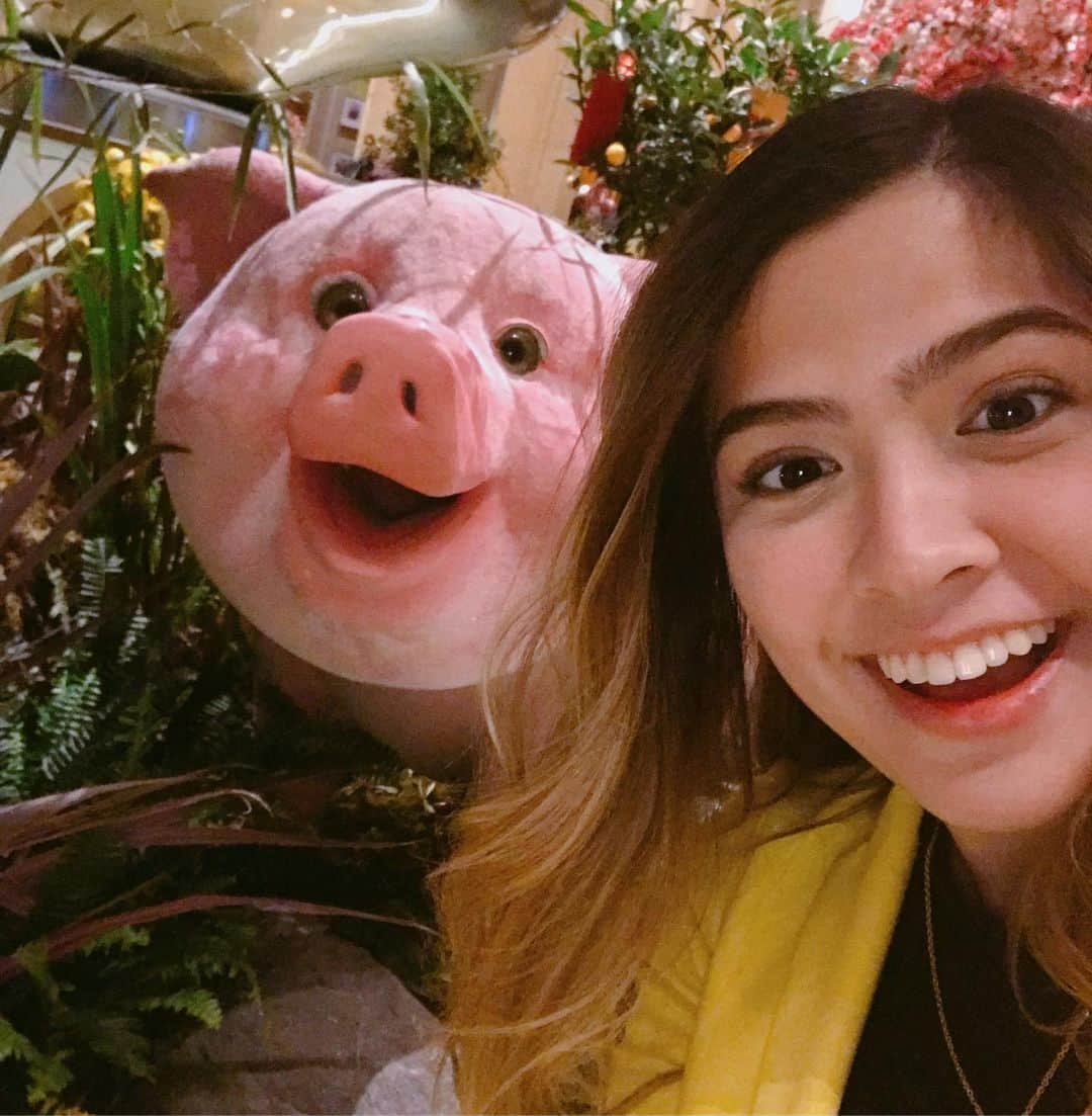 Alexa Ilacadさんのインスタグラム写真 - (Alexa IlacadInstagram)「Have you ever seen a pig this happy?? So cute 😭 and look, our resemblance is... uncanny 😂」7月4日 17時36分 - alexailacad