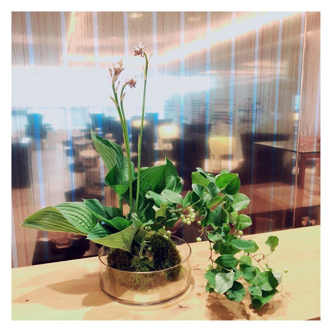 ネイルケアサロン タアコバさんのインスタグラム写真 - (ネイルケアサロン タアコバInstagram)「〈今週のお花🌿〉 蒸し暑さの続く日々ですが、緑が店内を涼しげに彩ってくれています。  @melliatokyoさんいつもありがとうございます。  #ロングルアージュ #longleage #広尾ネイルサロン #タアコバ #taacoba #ネイルサロン #ウォーターマニキュア #甘皮ケア #自爪育成 #ネイル #夏ネイル #ギボウシ #サンキュライ #グリーン #フラワーアレンジメント#ネイルサロン #広尾 #銀座 #ロングルアージュ #TAACOBA #フラワーショップメリア #mellia #神田花屋 #錦町 #神保町 #小川町 #御茶ノ水 #秋葉原 #大手町 #花のある暮らし」7月4日 17時49分 - taacoba