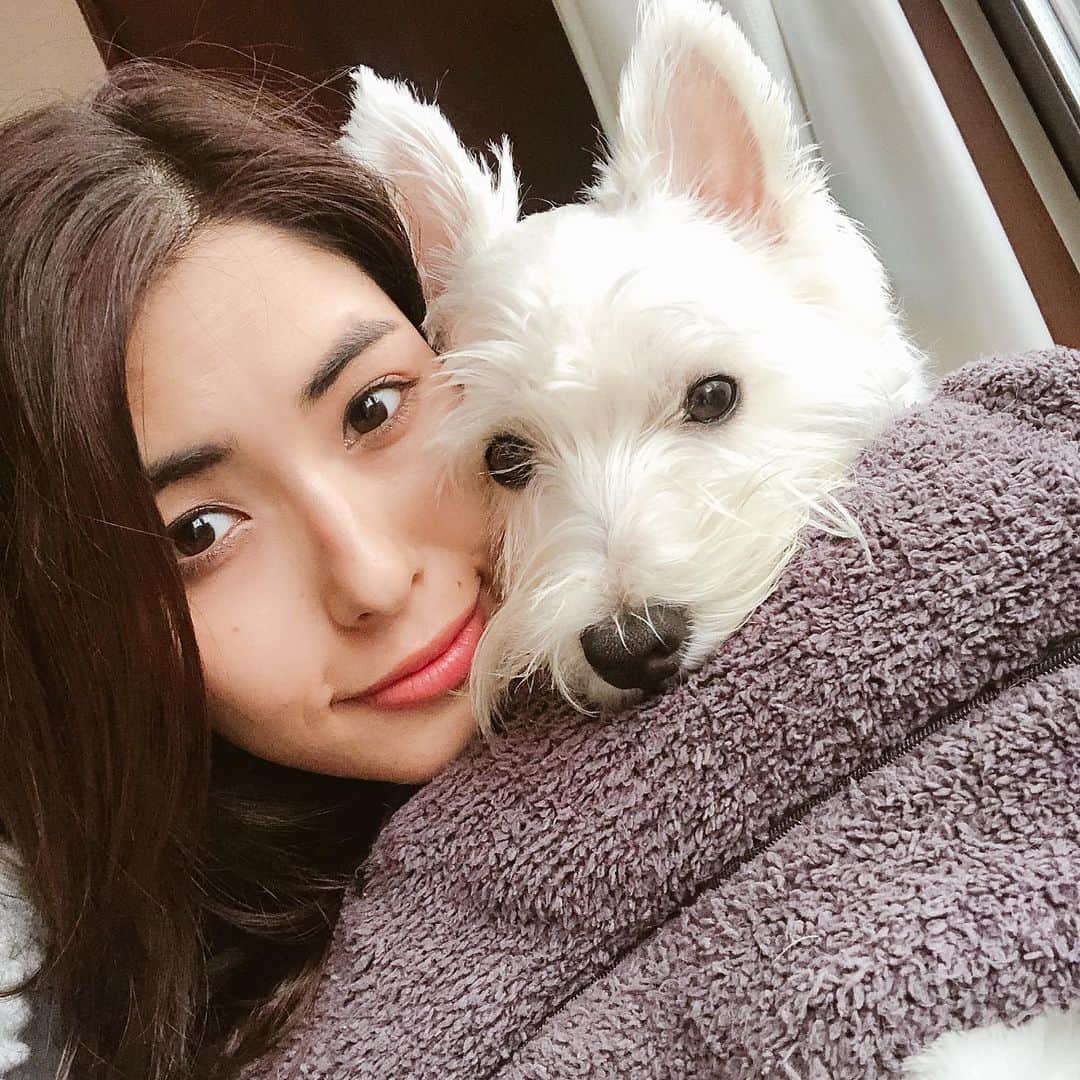 山崎愛香さんのインスタグラム写真 - (山崎愛香Instagram)「. 今日は早く帰ってこられたし、 雨止んだし、これからお散歩行こう❤️ #まなカイル #ウエスティ #犬のいる暮らし #お散歩 #行きます #westie #mylove」7月4日 17時58分 - manaka_yamazaki