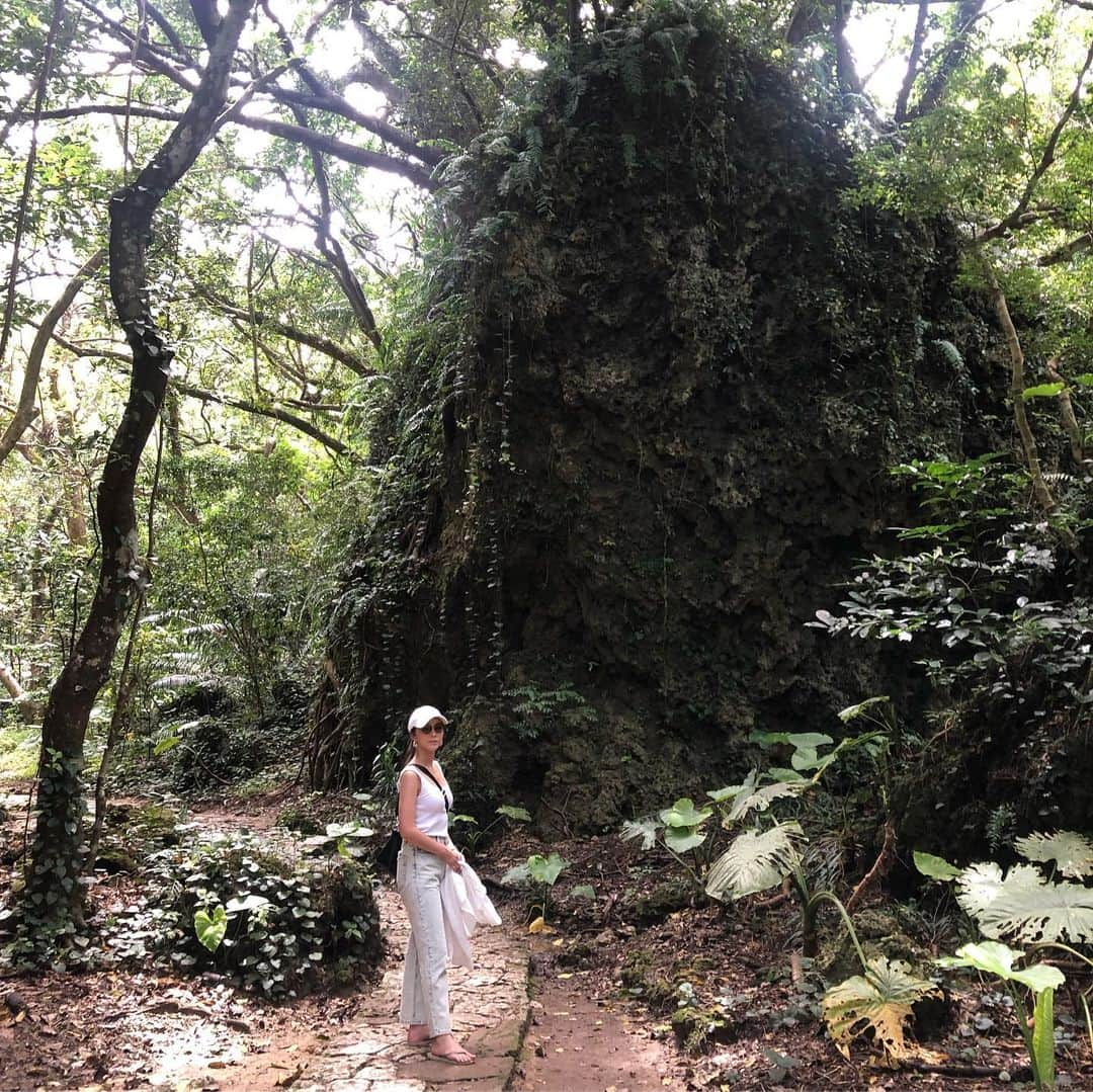 赤松悠実さんのインスタグラム写真 - (赤松悠実Instagram)「#斎場御嶽 #沖縄 🌴 今日ラジオで話した聖地 #せーふぁうたき 💐 教えてもらった翌日に ポッと時間ができて 導かれるように行くことになったの！ 斎場御嶽の中はすごくすごく涼しくて ジブリの映画で見るような不思議な蝶やトンボも🦋 清々しい空気をたくさん吸うと、自然と 心も体も軽くなった👏😊 沖縄の #南城市 にあります！良ければ是非☺️ #聖地 #世界文化遺産 #パワースポット #パワースポット巡り #聖地巡礼」7月4日 17時59分 - akamatsuyuumi