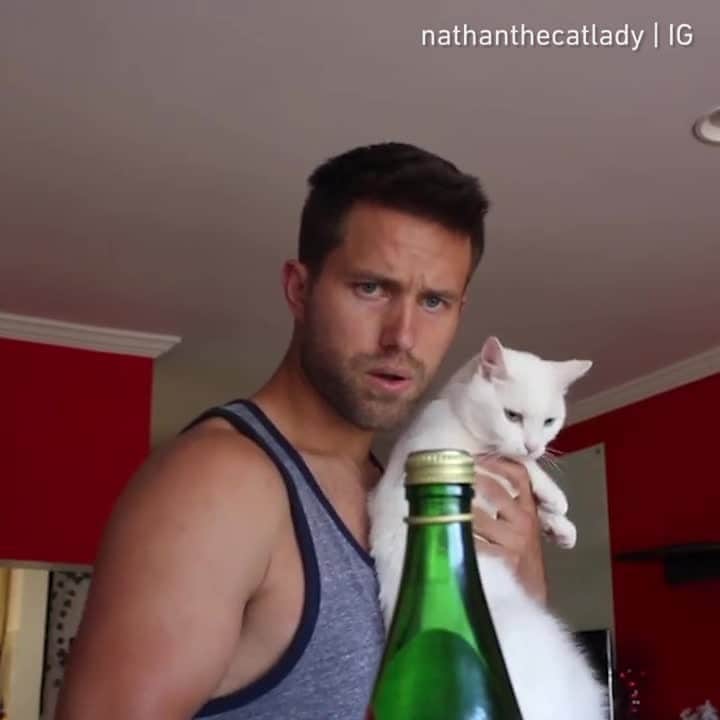 のインスタグラム：「If @jasonstatham & @thenotoriousmma can do it, so can we. ⠀ ⠀ 📹@nathanthecatlady⠀ ⠀ #meowed #nathanthecatlady #bottlecapchallenge #challengeaccepted」