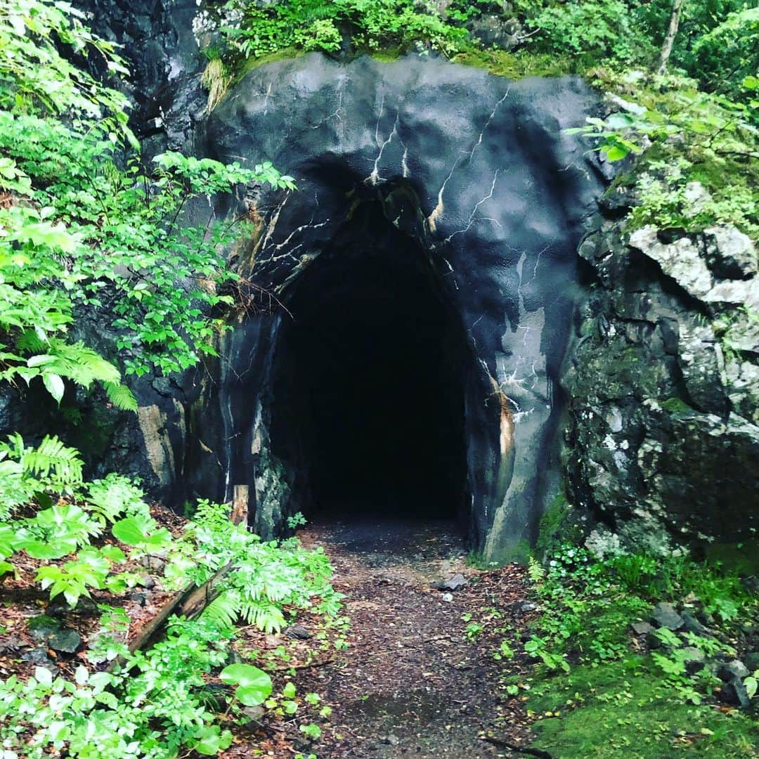 栗原心平さんのインスタグラム写真 - (栗原心平Instagram)「雨の中薬研渓谷散策へ。ヒバの実験林がありほのかに良い香りが…他にもブナ、ミズナラ、ヒノキあすなろと樹齢200年クラスがわんさかと。昔はヒバの伐採をしてトロッコで大畑町まで運んでいたそう。今も軌道だけ残っています。手掘りの隧道もあり中に入るとコウモリがキーキーと鳴いていましたw マイナスいお〜ん出てます出てます #栗原心平 #shimpeikurihara #青森 #青森県 #薬研 #薬研温泉 #薬研渓谷 #ヒバ #ブナ」7月4日 18時12分 - shimpei_kurihara