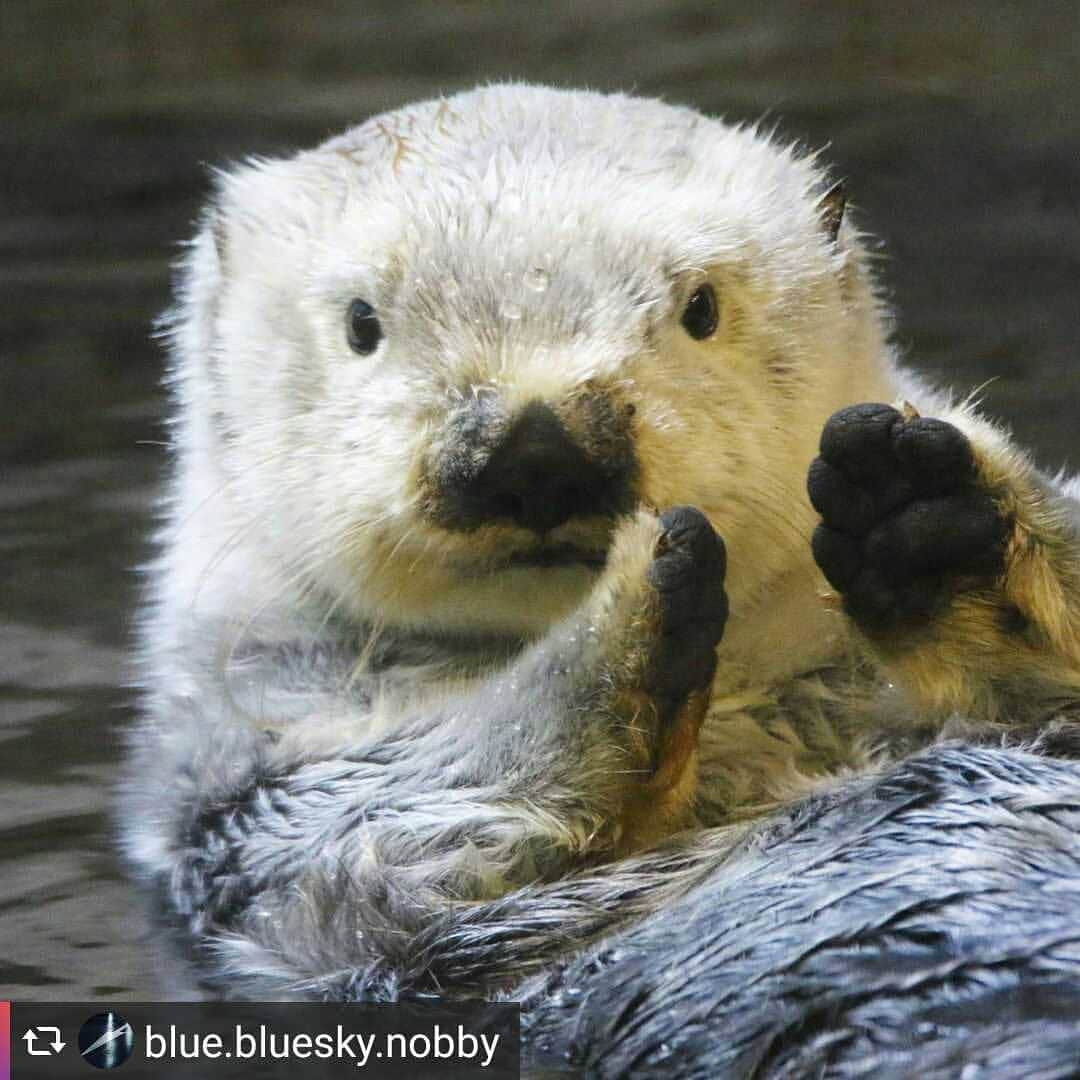 兵庫県のインスタグラム