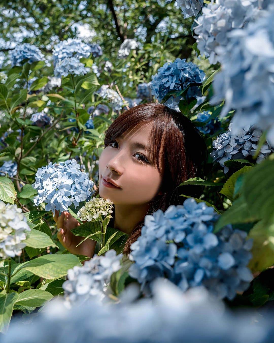 松山さやかさんのインスタグラム写真 - (松山さやかInstagram)「💠 枯れる前にあじさいで撮影できた😌 . . . . . . photo @h1loki . . . #visualportraits #kdpeoplegallery #ourportraitsdays #Globe_People #gramkilla #portraitpage #Featurepalette #Visualauthority #Quietthechaos #profile_vision #ig_mood #theworldofportraits #フリーモデル #ポートレートモデル  #被写体になります#カメラマンさんと繋がりたい  #作品撮り #作品撮りモデル #撮影モデル #撮影依頼募集中 #写真好きな人と繋がりたい #被写体 #ポートレート #ファインダー越しの私の世界 #portrait #followme #企業モデル#松山さやか」7月4日 18時32分 - sayakam8