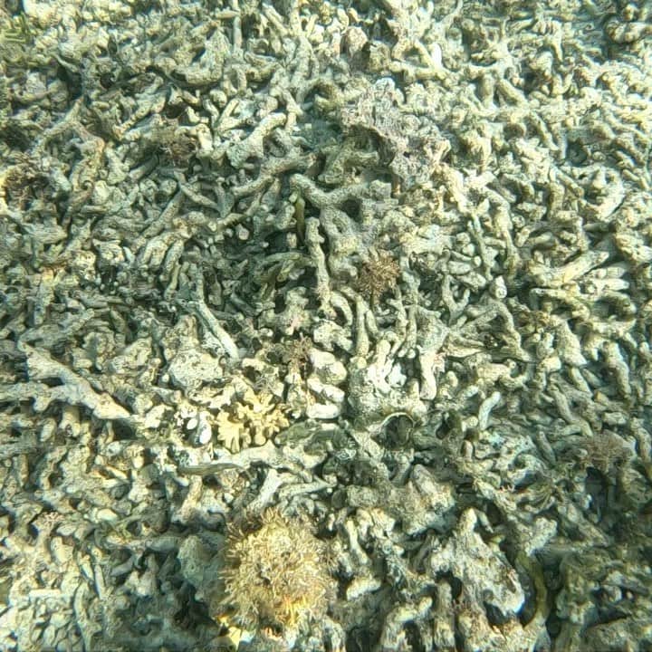 宇野陽介のインスタグラム