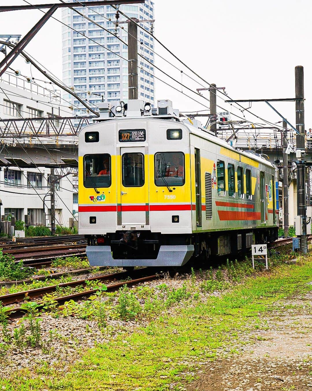 東急電鉄さんのインスタグラム写真 - (東急電鉄Instagram)「. Electric powered train "MANI 50 2186" which Belongs to JR East Japan has already been transferred to Tokyu Corporation In July 3 (Wednesday). Due to the earthquake happened in Iburi, east Hokkaido in 2018, JR Hokkaido ,JR East Japan ,JR Freight and Tokyu Corporation decided to unit together. Izu sightseeing train “ the royal express“ is going to be concatenated and run in Hokkaido on 2020. Now we would like to introduce the electric powered train which has already been shown to the news media. . 7月3日（水）に、JR東日本の電源車「マニ50 2186」が東急電鉄に譲渡されました。 . 北海道胆振東部地震の影響を受けた北海道を応援するため、JR北海道とJR東日本、JR貨物、東急電鉄が連携。 2020年に、伊豆観光列車「ザ・ロイヤル・エクスプレス」に連結され、北海道で走らせる計画が進行しています。 . 今回は報道陣向けに公開された電源車をご紹介いたします。 . #railway #train #railwayphotography #trainstagram #railways_of_our_world #japantrain #japanesetrain #japanrail #기차 #电动火车 #tren #trem #theroyalexpress #tokyuline  #電車 #電車好き #鉄道 #鉄道写真 #ザロイヤルエクスプレス #JR東日本 #東急電鉄 #ゆうマニ #マニ502186 #電源車」7月4日 19時05分 - tokyu_railways