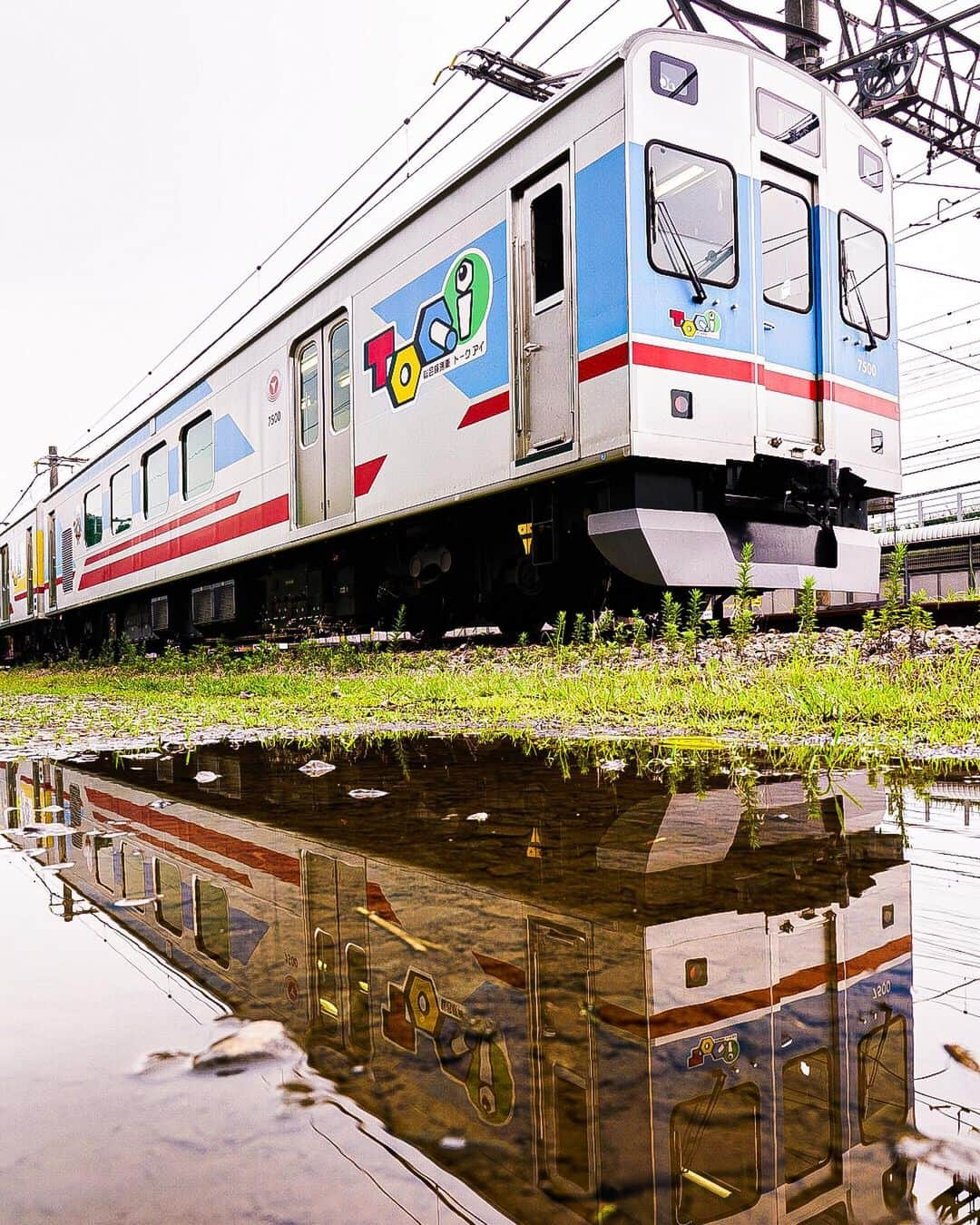 東急電鉄さんのインスタグラム写真 - (東急電鉄Instagram)「. Electric powered train "MANI 50 2186" which Belongs to JR East Japan has already been transferred to Tokyu Corporation In July 3 (Wednesday). Due to the earthquake happened in Iburi, east Hokkaido in 2018, JR Hokkaido ,JR East Japan ,JR Freight and Tokyu Corporation decided to unit together. Izu sightseeing train “ the royal express“ is going to be concatenated and run in Hokkaido on 2020. Now we would like to introduce the electric powered train which has already been shown to the news media. . 7月3日（水）に、JR東日本の電源車「マニ50 2186」が東急電鉄に譲渡されました。 . 北海道胆振東部地震の影響を受けた北海道を応援するため、JR北海道とJR東日本、JR貨物、東急電鉄が連携。 2020年に、伊豆観光列車「ザ・ロイヤル・エクスプレス」に連結され、北海道で走らせる計画が進行しています。 . 今回は報道陣向けに公開された電源車をご紹介いたします。 . #railway #train #railwayphotography #trainstagram #railways_of_our_world #japantrain #japanesetrain #japanrail #기차 #电动火车 #tren #trem #theroyalexpress #tokyuline  #電車 #電車好き #鉄道 #鉄道写真 #ザロイヤルエクスプレス #JR東日本 #東急電鉄 #ゆうマニ #マニ502186 #電源車」7月4日 19時05分 - tokyu_railways