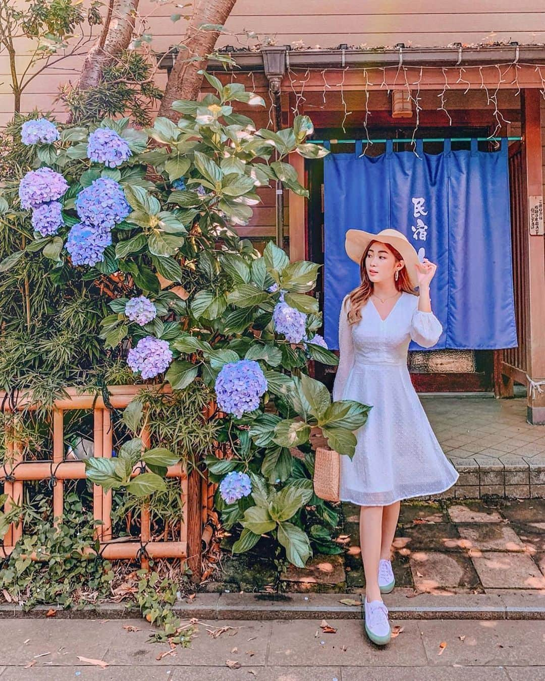 pomeloさんのインスタグラム写真 - (pomeloInstagram)「Pomelo Cover | It is the hydrangea season in Japan! A group of hydrangea photos from @jessicachaw Her Instagram page is worth a visit if you’re someone who loves nature and scenery around the world!  #pomelocamera #pomeloapp #photographer #summer #photography #flower #hydrangea #travel #bright #light #pomelocam #purple #dress #trip」7月4日 19時18分 - pomelocam