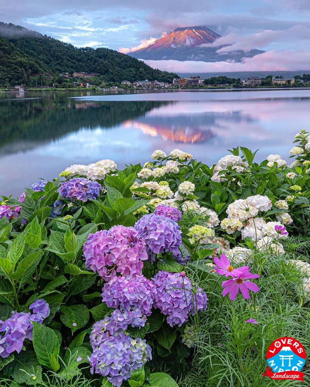 Only Japanese photographsさんのインスタグラム写真 - (Only Japanese photographsInstagram)「🇯🇵Today's best photo of Japan🇯🇵 Featured Artist : 🏆  @archi_kobayashi 🏆 Featured tag : #Lovers_Nippon Location : 山梨県 (yamanashi, Japan) Photo selected :@alyssa_4190 ￣￣￣￣￣￣￣￣￣￣￣￣￣￣￣￣￣￣￣￣ 『お願い』  都道府県のみでも結構ですので必ず国内の撮影場所を明記ください。 風景【 #Lovers_Nippon 】 ポートレート【 #Lovers_Nippon_Portrait 】 アート【 #Lovers_Nippon_Artistic 】 ￣￣￣￣￣￣￣￣￣￣￣￣￣￣￣￣￣￣￣￣」7月4日 19時47分 - lovers_nippon