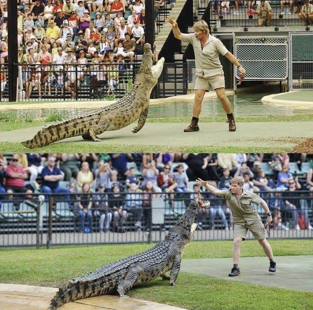 9GAGさんのインスタグラム写真 - (9GAGInstagram)「Like father like son⠀ 📷@robertirwinphotography 15 years apart⠀ -⠀ #steveirwin #crocodile #nationaltreasure #murray」7月4日 20時01分 - 9gag