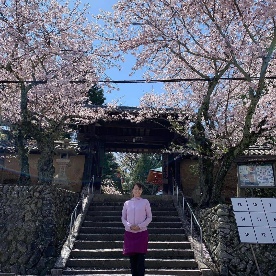 木内晶子のインスタグラム