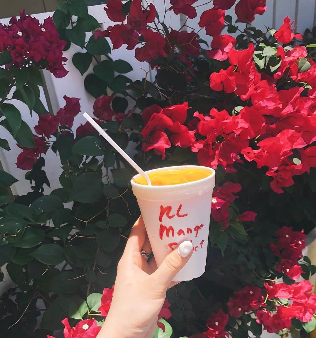 古川貴絵さんのインスタグラム写真 - (古川貴絵Instagram)「・ mango sherbet 🌺 日本でも食べたいな。美味しかった〜 #hawaii #honolulu」7月4日 20時12分 - _kiegram