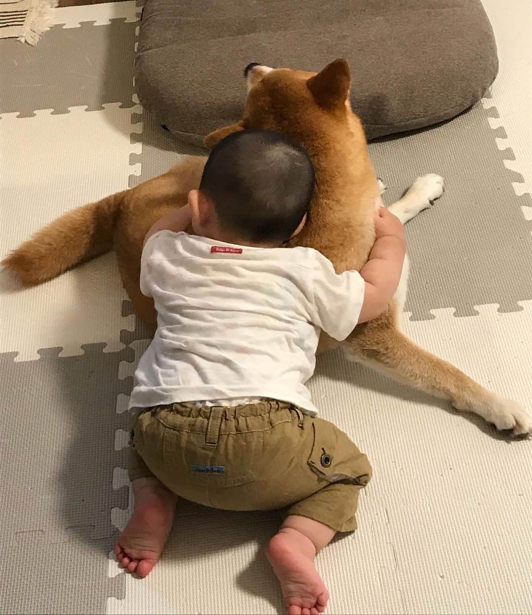 高橋みゆきのインスタグラム：「クラ吉ぎゅ〜💕💕👶 #顔中毛だらけなるのよ #でも可愛いからいっか！ #毎回後で綺麗に拭き拭き #癒し #クラ吉兄ちゃん大好き #ちょっと目離すとこれ」