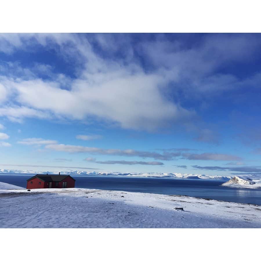 VANRIさんのインスタグラム写真 - (VANRIInstagram)「❄ スヴァールバル諸島ってこんなところ。 . #世界ふしぎ発見 #ミステリーハンター #tbs #norway #svalbard #ノルウェー領 #スヴァールバル諸島 #一週間船上生活 #極北大冒険 #氷が生んだ野生の王国」7月4日 21時20分 - vanri0121